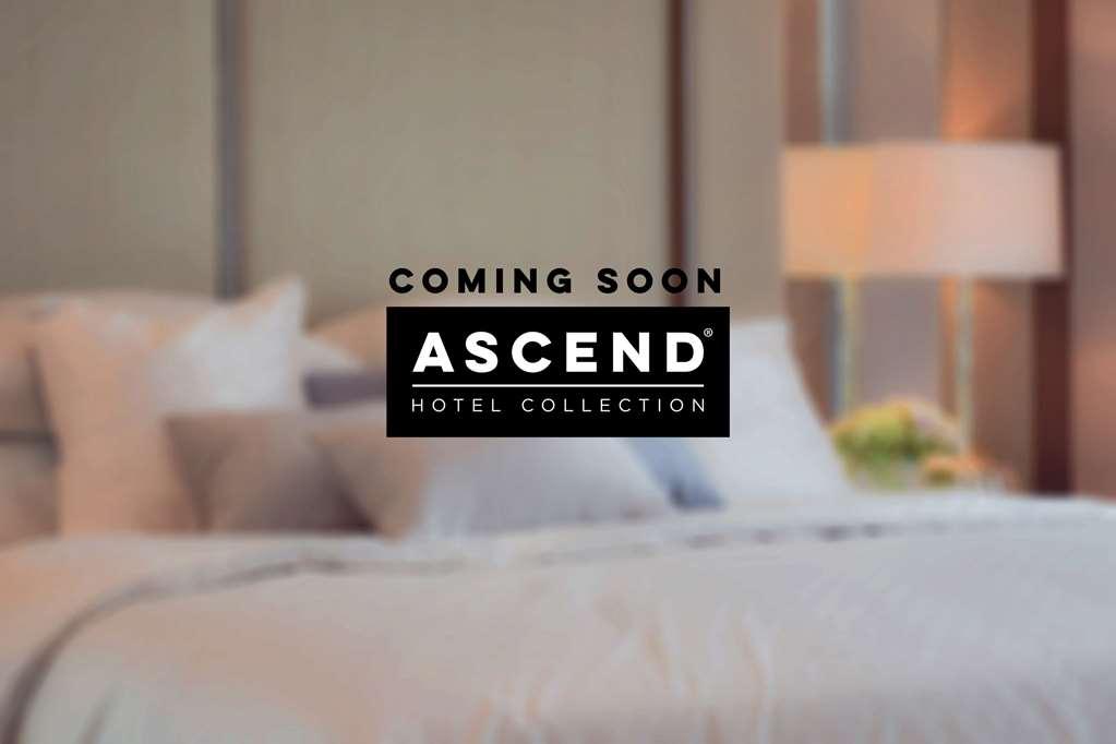 Mayfair Hotel, Ascend Hotel Collection Нью-Йорк Екстер'єр фото